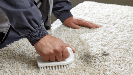 Professional Rug Cleaning Wendouree Village